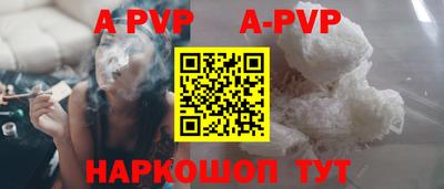 спиды Кингисепп