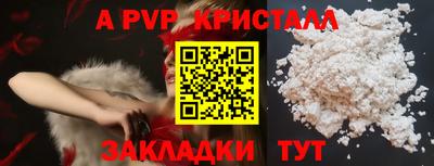 ECSTASY Камышлов