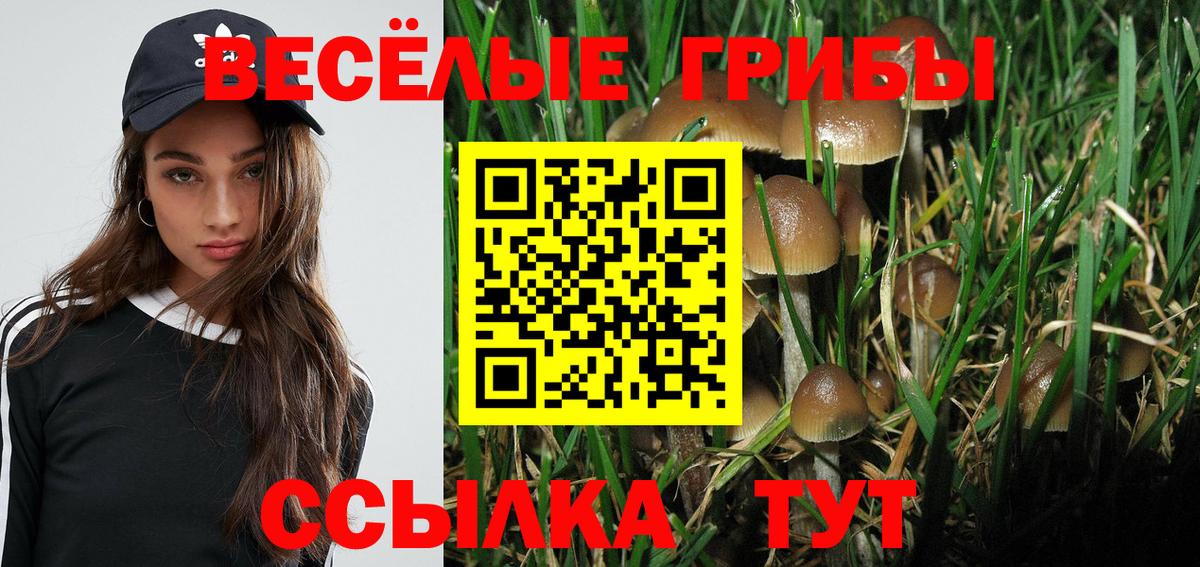 Галлюциногенные грибы MAGIC MUSHROOMS  Галлюциногенные грибы ЛСД  наркошоп  Вход с VPN  Краснодар 