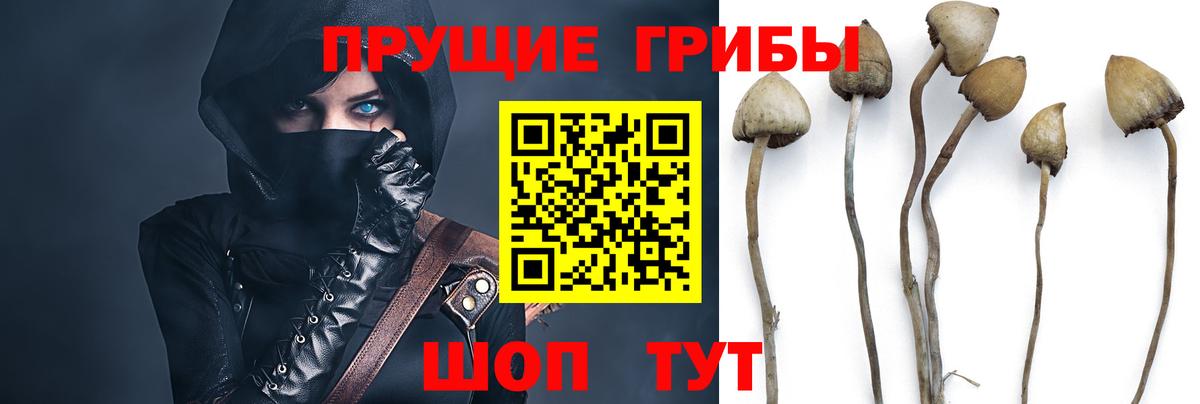Галлюциногенные грибы прущие грибы Краснодар